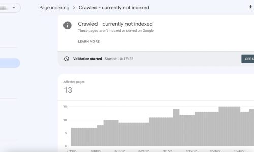 Google Crawled but Not Indexed? Here’s How to Fix It