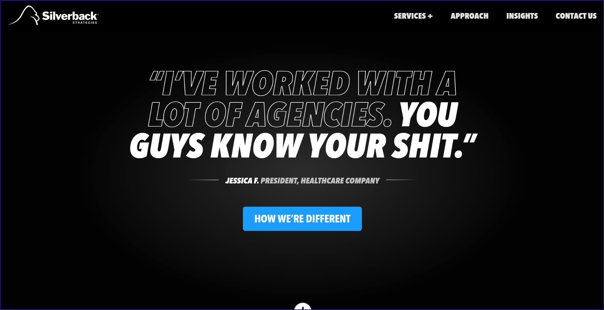 silverback strategies digital marketing agency