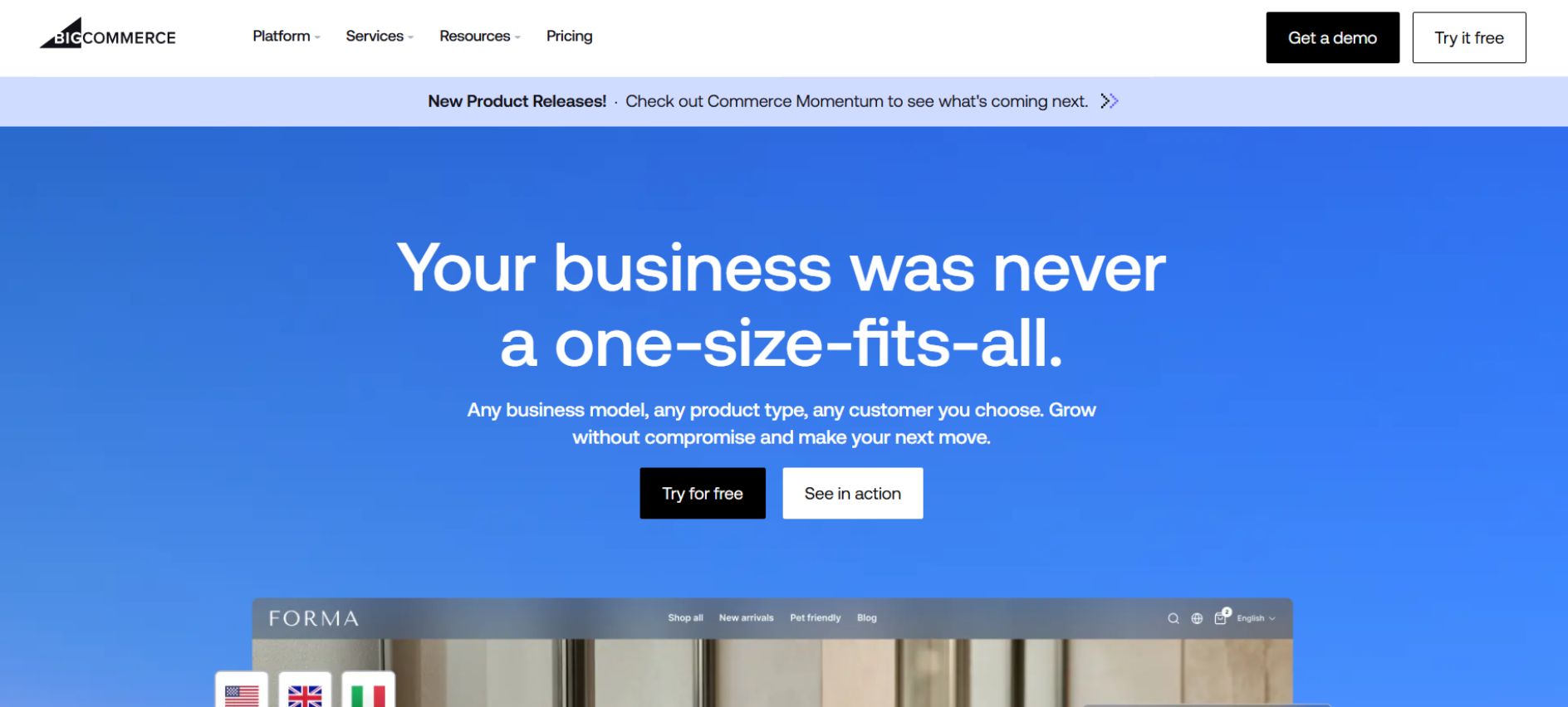 BigCommerce Ecommerce Platform