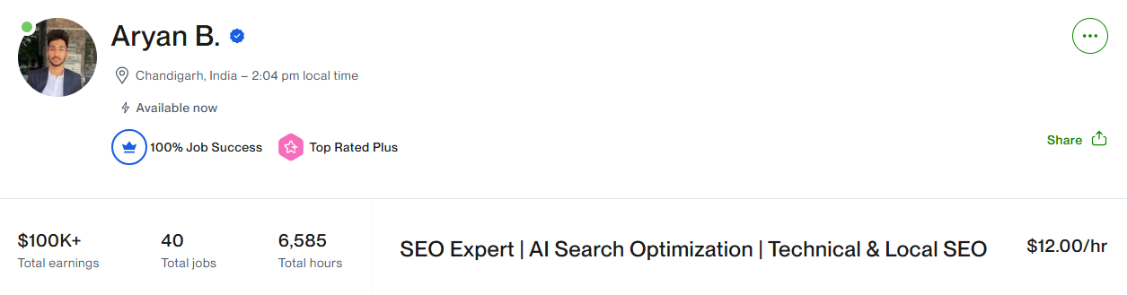 freelance seo expert