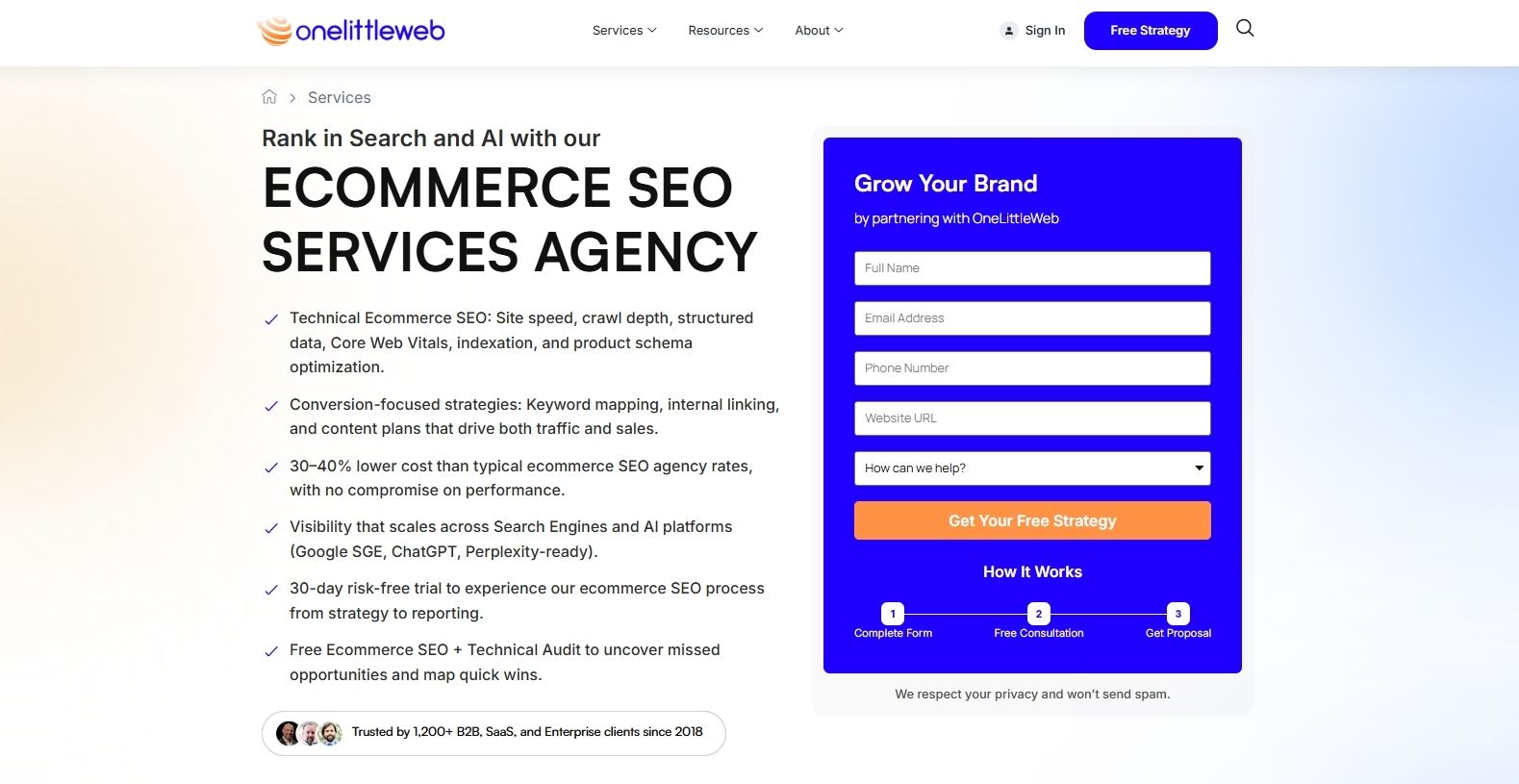 One Little Web Eommerce SEO Agency