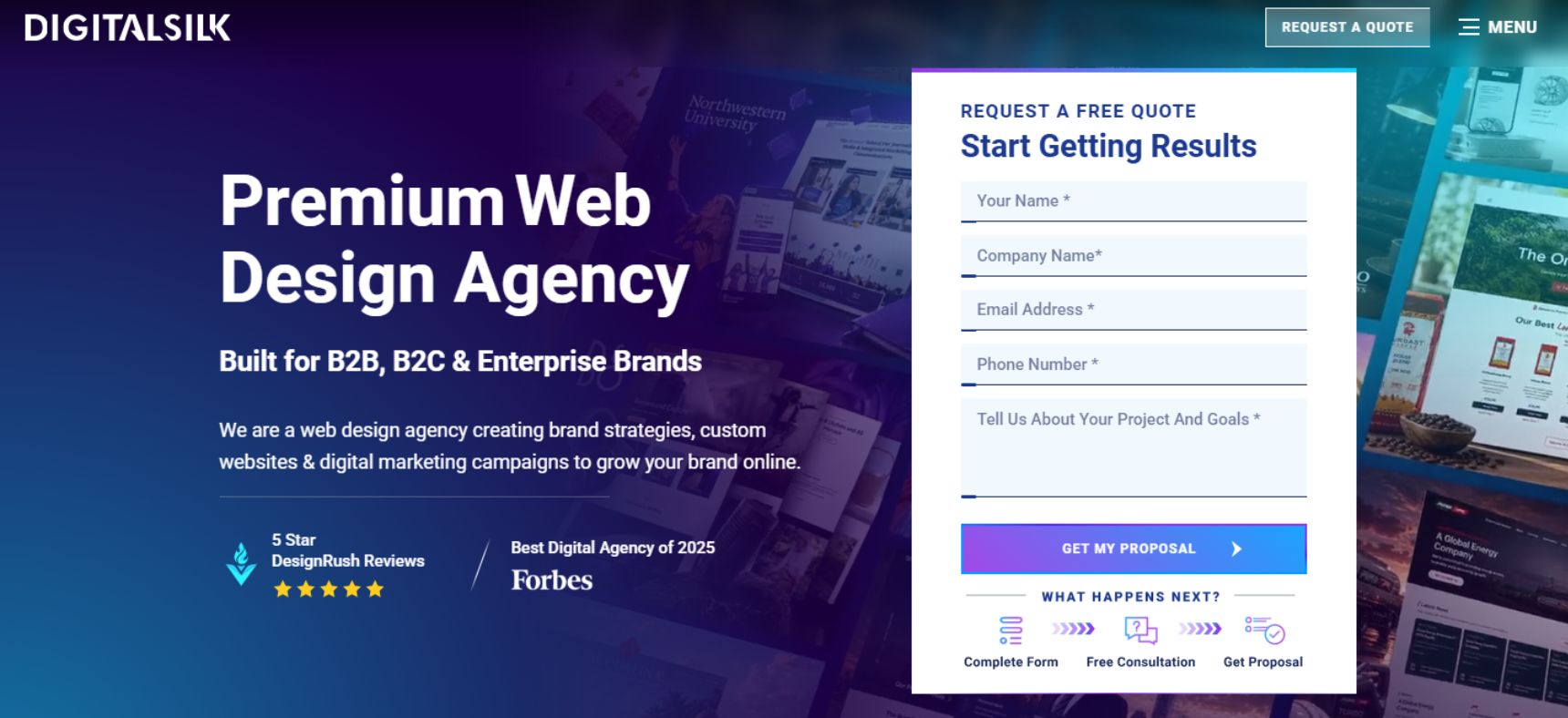 Digital Silk Website Design Solutions