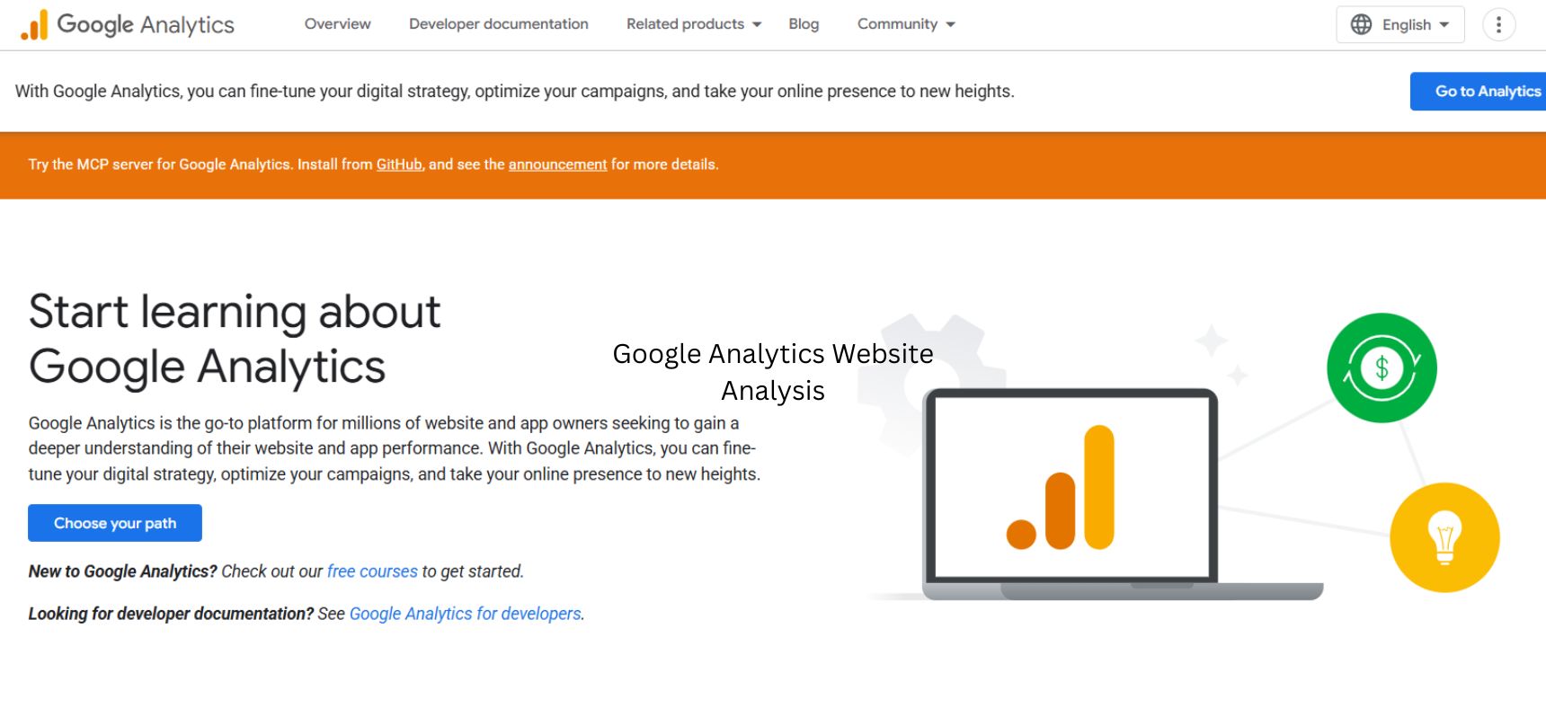 Google Analytics Website Analysis