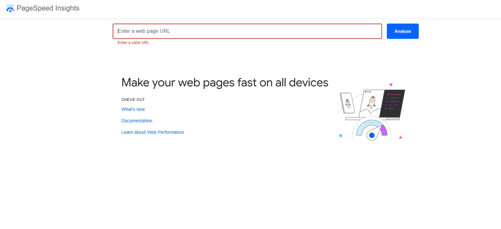 PageSpeed Insights Website Analysis