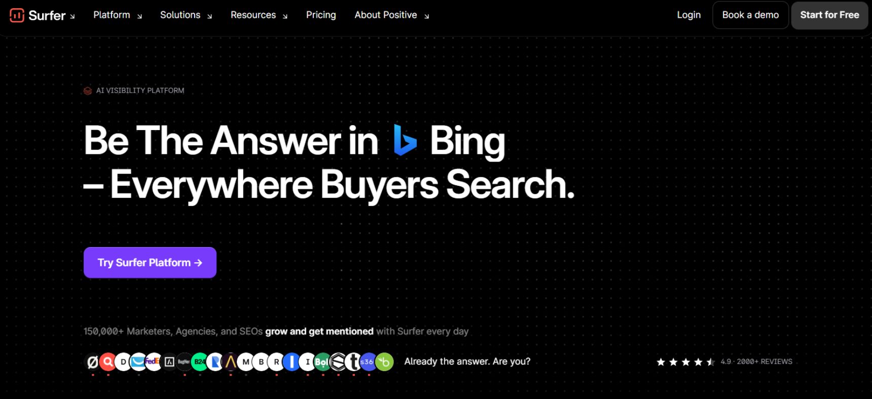 Surfer SEO Review